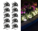 10-Pack RVS Solar Grondspots - Geen Bedrading En Geen Gedoe!