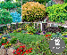Compleet Biologisch Tuinpakket Met 12 Planten!