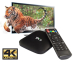 4K Ultra HD Android Mediaspeler - Verander Je TV In Een Smart TV!