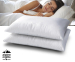 Alpine Nights Orthopedisch Hoofdkussen - Vandaag 1+1 GRATIS!