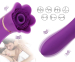 Auxfun Zuigende Vibrator - Met Meerdere Zuig En Vibratie Standen!