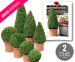 2 Buxus Bollen Of Kegels - Super Veelzijdige Sterke Planten!