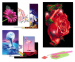 VOORDEELPACK: Set Van 7 Diamond Paintings - Dé Hype Voor Jong En Oud!