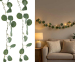 Eucalyptus Lichtsnoer 290 cm - Vandaag 1+1 GRATIS!