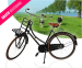 Hippe Hollandse Omafiets - Zeer Robuust Design!