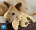 Huggie Pup Hondenknuffel - Met Hartslag Om Honden Rustig Te Krijgen!