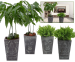 2 Stuks Castano of Kamerbamboe Met Mooie Keramiek Buddha Potten!