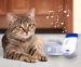 Draadloze Deurbel Voor Huisdieren Met Bewegingssensor - Het Alternatief Voor Een Kattenluik!