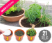 21-Delige Keukenkruiden Kweekset - Inclusief Terracotta Schaal!