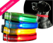 Honden Halsband Met LED Verlichting - Altijd Veilig Met Uw Hond Op Stap!