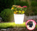 Verlichte Plantenpot Met Solar - Met Automatische Bewatering!
