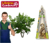 Hoogwaardige Takkenschaar Met Uitschuifbare Steel - Maak De Tuin Zomerklaar!