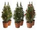 Set Van 2 Mini Kerstbomen Met Slingers - Keuze Uit 3 Kleuren!
