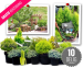 10-Delig Pakket Voor Je Eigen Miniatuurtuin - Dé Tuintrend Van Deze Zomer!