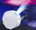 Northern Sky Brite Projectorlamp - Bekend Van TV!