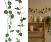 Plant Lichtsnoer - Vandaag 1+1 GRATIS!