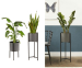 Plantenbak Delphine - In Twee Maten!