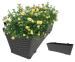 Wicker Plantenbak Met Binnenbak En Ophangsysteem!