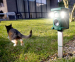 Nexxt Kattenverjager Met Sensor Solar - Werkt Ook Tegen Andere Dieren!