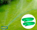 Platte Sproeierslang - Vandaag 1+1 GRATIS!
