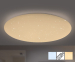 Grote Dimbare Plafondlamp Met Afstandsbediening - Met Kleurwissel 3000-6500K!