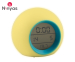 Ninyas LED Wake Up Light Wekker - Zonder Moeite Opstaan!