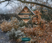 XL Vogelvoeder Station - Meerdere Voeropties Voor Meer Vogels In De Tuin!