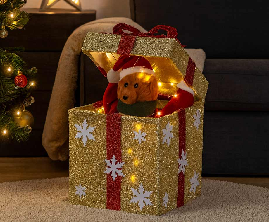 Bewegend Beertje In Cadeaudoos Met Licht En Geluid