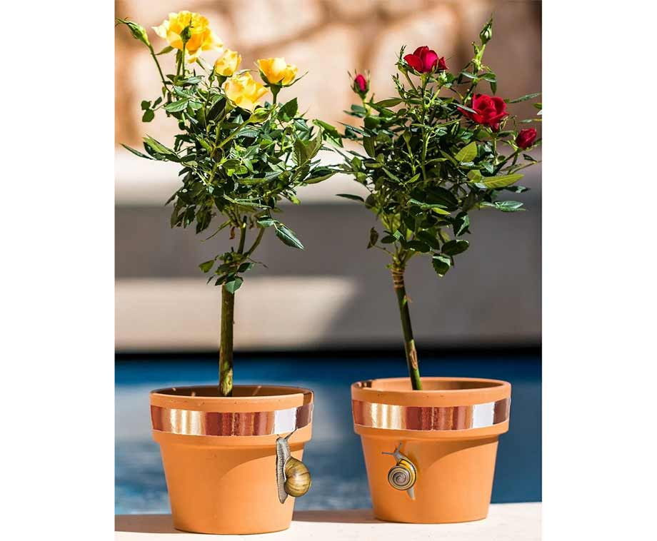 Anti-Slakkentape 3M Bescherm Bloemen En Planten