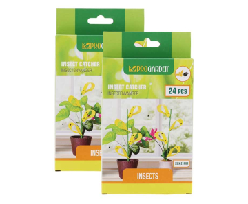 Insectenvanger Tegen Fruitvliegjes, Rouwvliegjes En Meer - Vandaag 24+24 GRATIS!