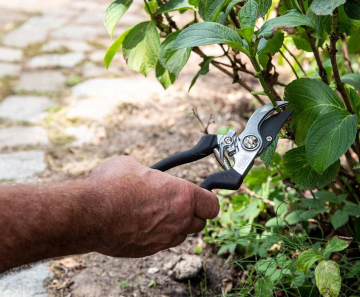 4-Delige Black & Decker Tuingereedschapsset - Alles Bij De Hand Voor Elke Tuinklus!