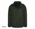 Groen