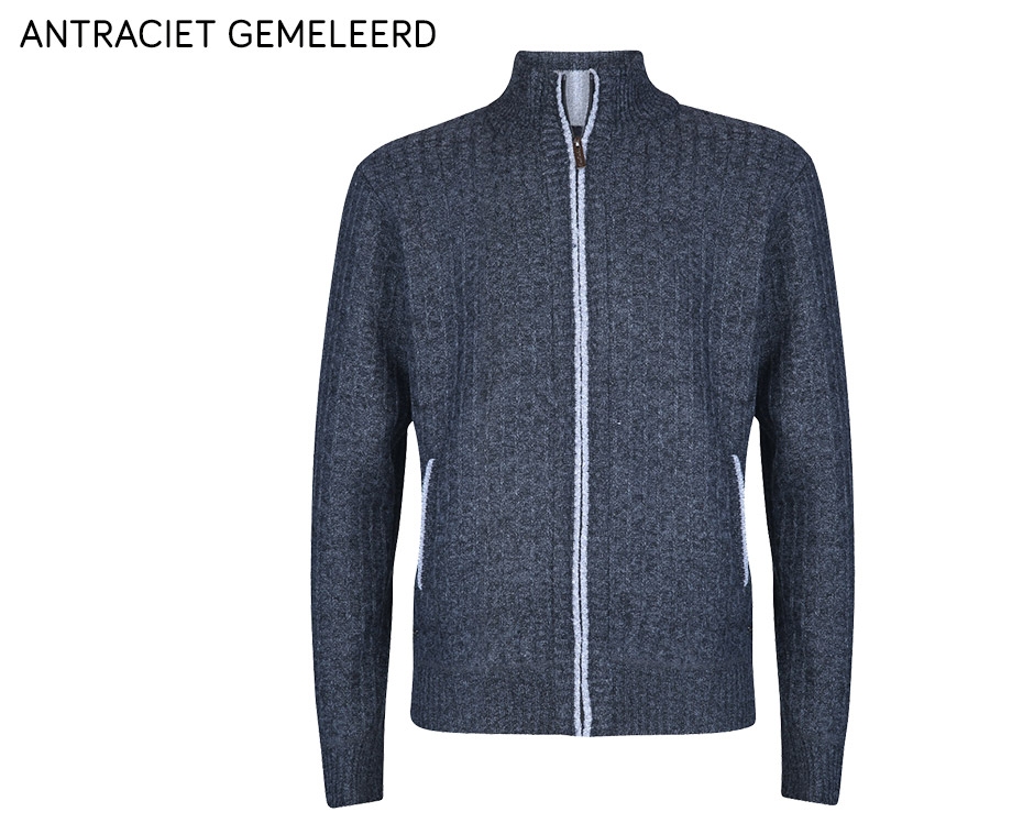 Comfortabel en sportief 3/4 lang getailleerd vest met deelbare rits Comfortabel en sportief 3/4 lang getailleerd vest met deelbare rits
