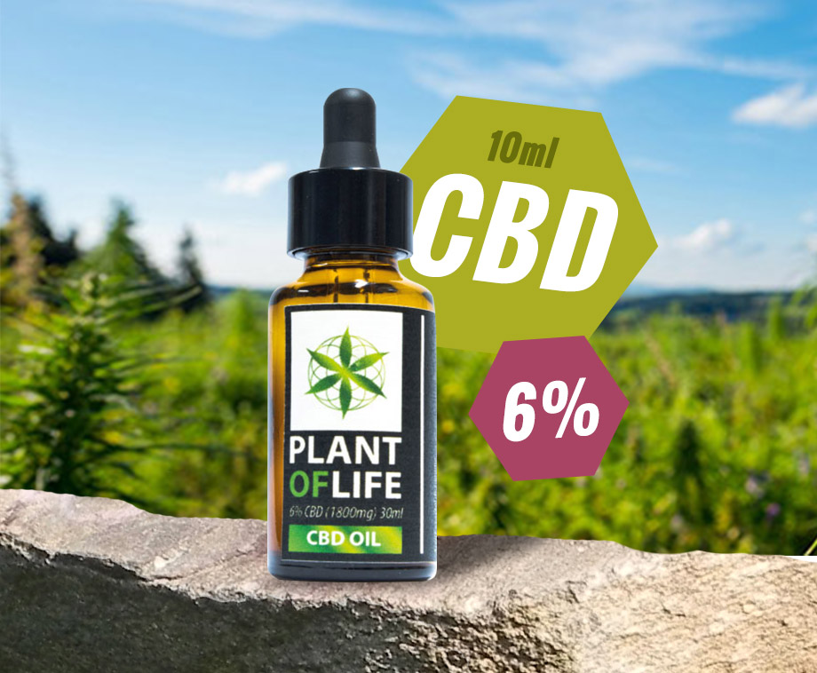 Plant Of Life CBD Hennep Olie 6% - Bij Pijn, Spasmen En Chronische