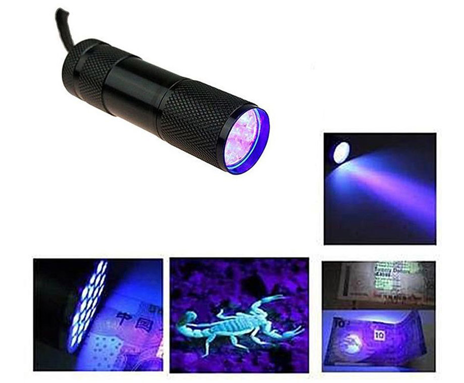 Wat Zit Er ÉCHT Op Je Groenten? Deze UV-lamp Onthult Het Allemaal %ef%b8%8f 365 Nm Uv Lic