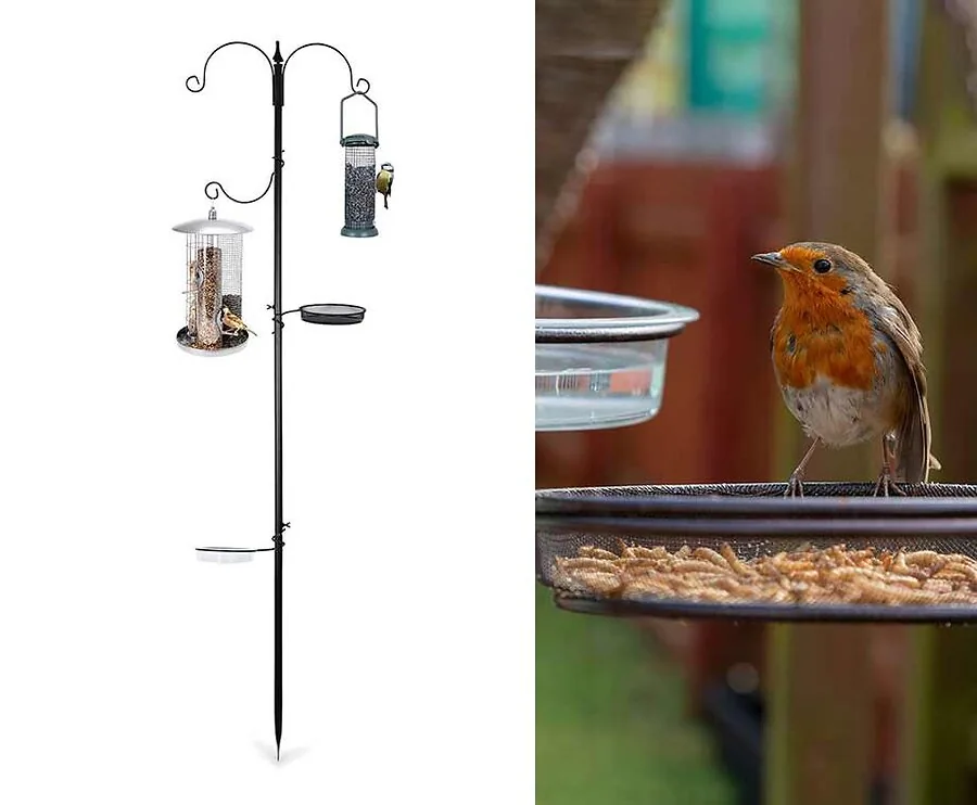 Vogelvoeder Standaard - Maak Een Vogelparadijs In Je Tuin!