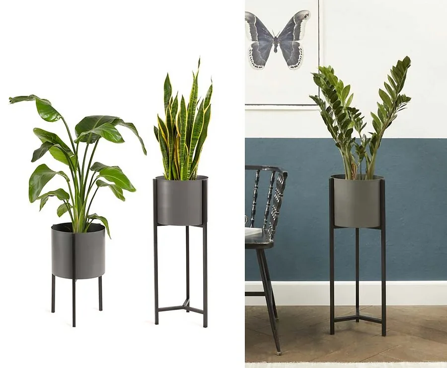 Plantenbak Delphine - In Twee Maten!