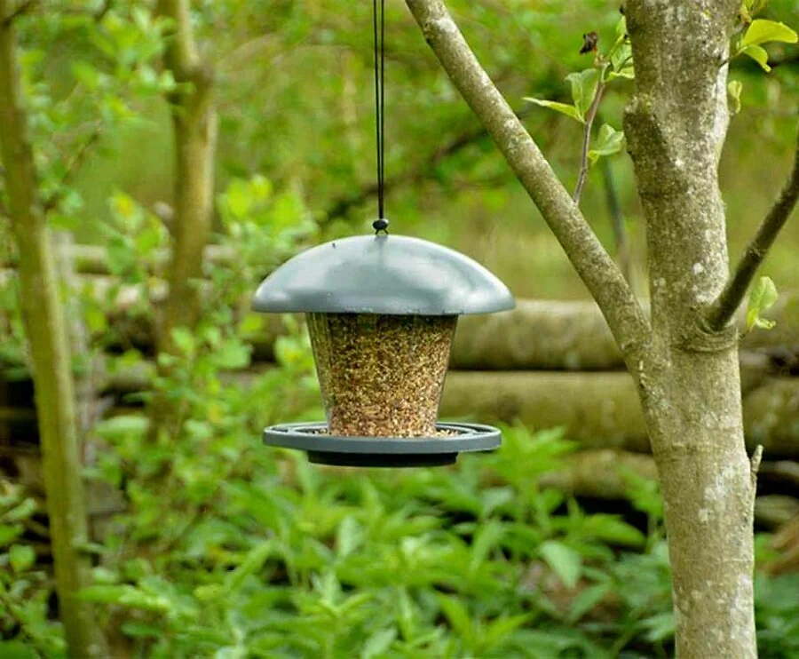 Vogelvoedersilo - Droog En Schoon Vogelvoer Voor Blije Bezoekers!
