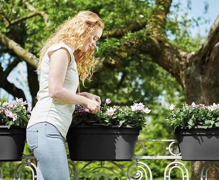 Balkonbak 59 x 25 x 25 cm Antraciet - Vandaag 1+1 GRATIS!