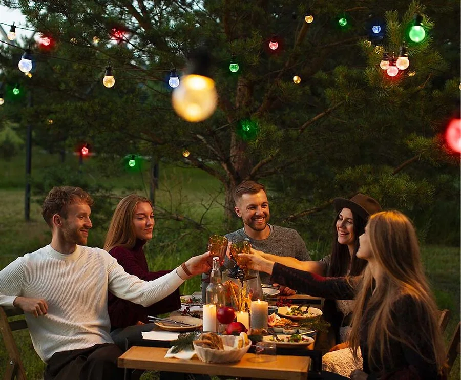Party LED Lampenslinger Met 10 Lampen - In Warm Wit Of Kleur!