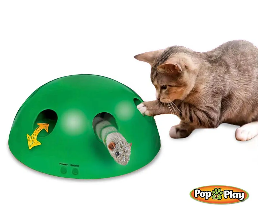 Pop 'n Play Kattenspeeltje - Voorkomt Verveling En Ongewenst Gedrag!