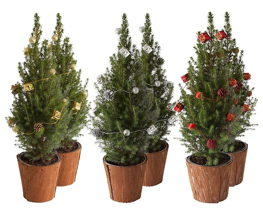 Set Van 2 Mini Kerstbomen Met Slingers - Keuze Uit 3 Kleuren!