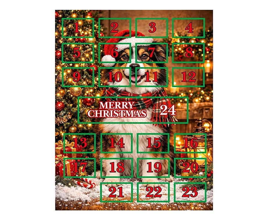 Adventskalender Voor Hond of Kat met Snacks