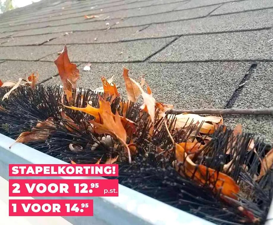 Dakgootborstel 4 Meter Gootbescherming - Voorkomt Hoge Onderhoudskosten!