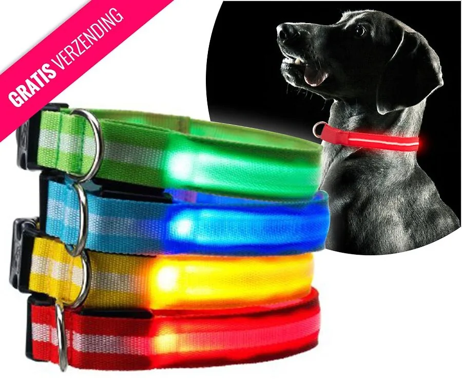 Honden Halsband Met LED Verlichting - Altijd Veilig Met Uw Hond Op Stap!