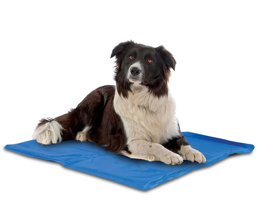 Koelmat Voor Huisdieren - Bescherm Je Hond of Kat Tegen De Hitte!