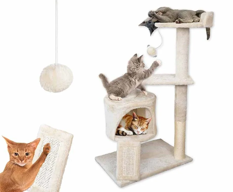XL Kattenhotel - Met Kattenmand En Speeltjes!