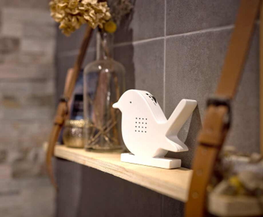 Vogeldoosje Met Sensor