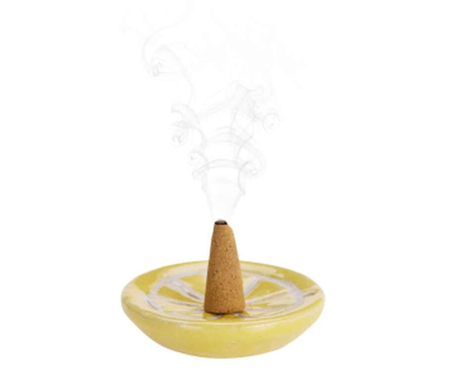 Wierookkegels Citronella 30 Stuks Inclusief Houder